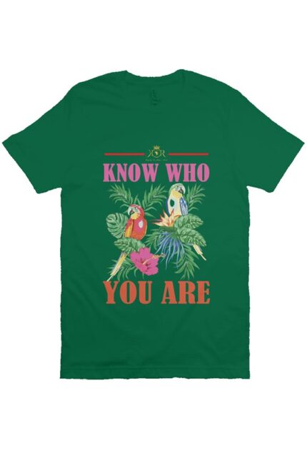 Bella Canvas T Shirt